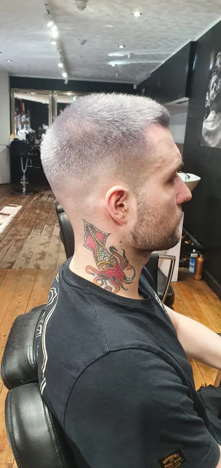 Lilac crop with a high fade, side view